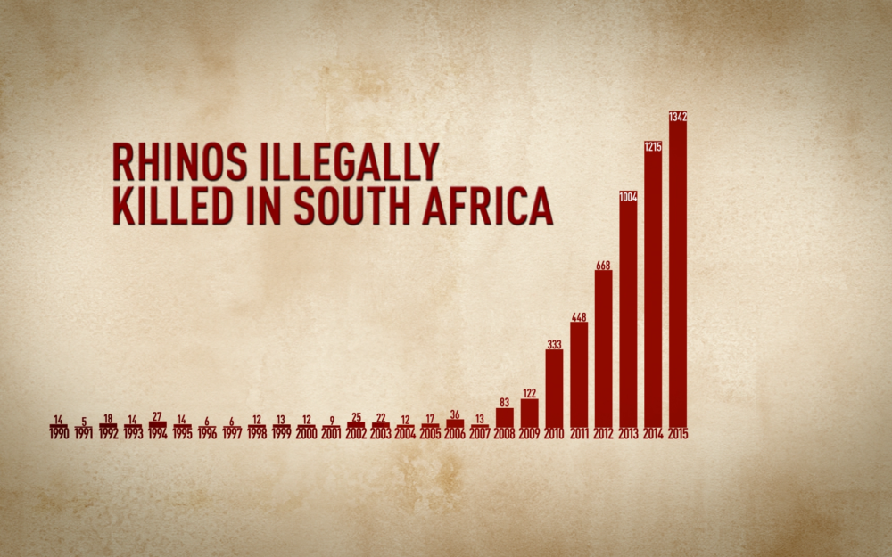 Graph showing growing number of rhinos killed in South Africa
